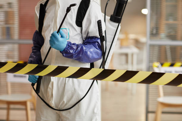 Professional Sewage Cleanup technician working in White Plains, NY